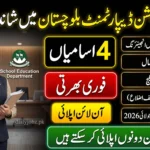Deputy Project Director Jobs 2026 Balochistan announced by School Education Department with 4 vacancies for BS/BE Civil Engineering candidates across Balochistan.