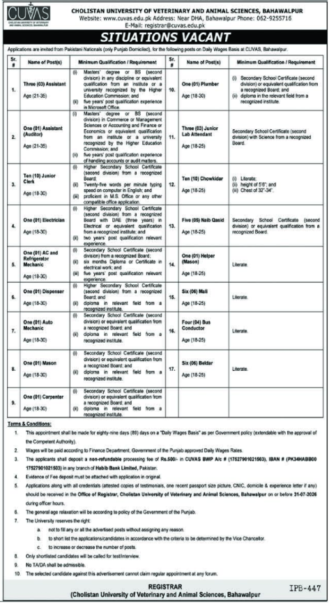 Official advertisement for Cholistan University CUVAS Jobs 2026 showing daily wages vacancies, eligibility criteria, available positions, and application deadline in Bahawalpur.