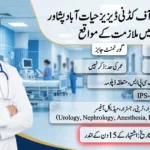 Institute of Kidney Diseases Hayatabad Peshawar Jobs 2026 official advertisement featuring Specialist Registrar, Trainee Registrar, Medical Officer ICU, Anesthesia, and Radiology vacancies in Peshawar.
