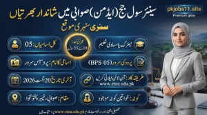 Senior Civil Judge Swabi Jobs 2026 feature image showing Process Server (BPS-05) vacancies, Matric qualification, age limit 18–35 years, 20 August 2026 last date, and online application through ETEA.