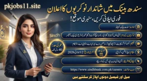 Sindh Bank Jobs 2026 for IS Auditor & Treasury Officer feature image showing career opportunities at Sindh Bank Karachi with application details, eligibility criteria, and last date 12 July 2026.
